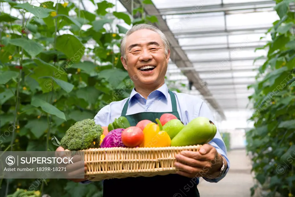 Farmer holding vegetables in modern farm