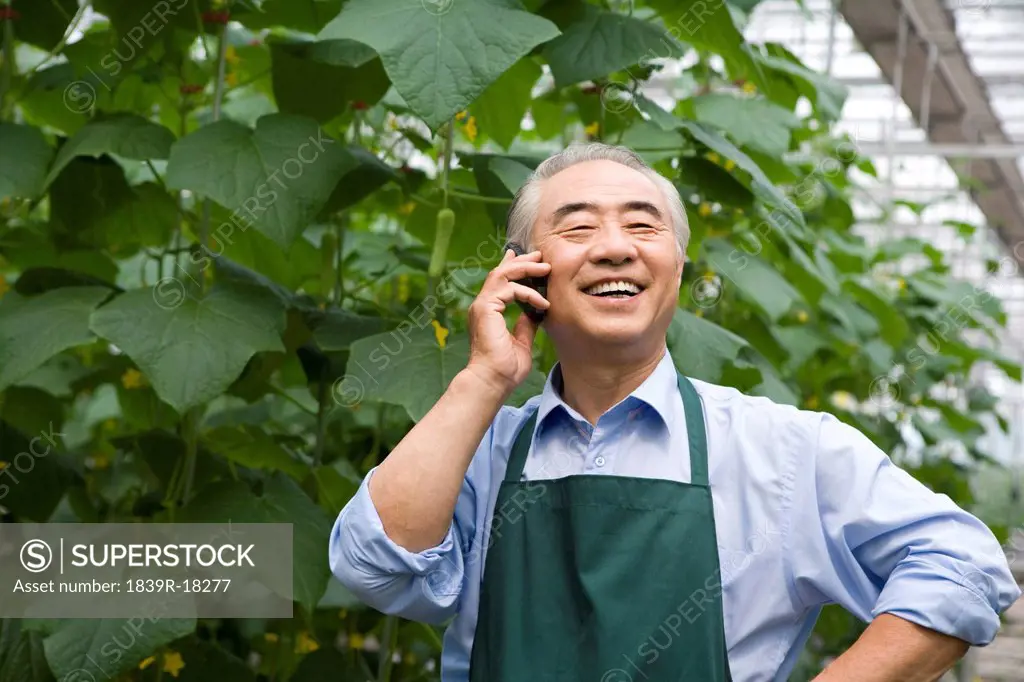 Farmer talk on the phone in modern farm