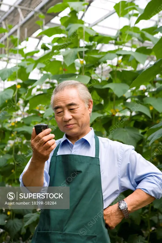 Farmer looking at cellphone in modern farm