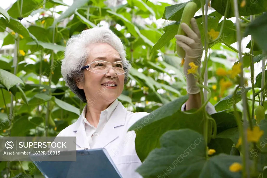 Scientists doing research in modern farm