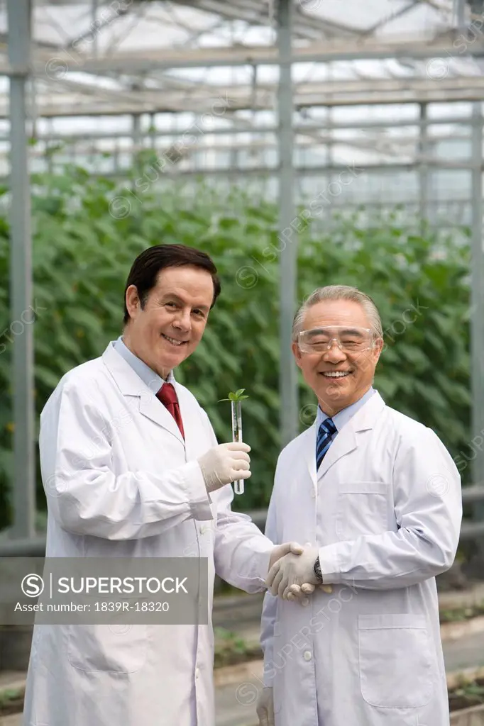 Scientists doing research in modern farm