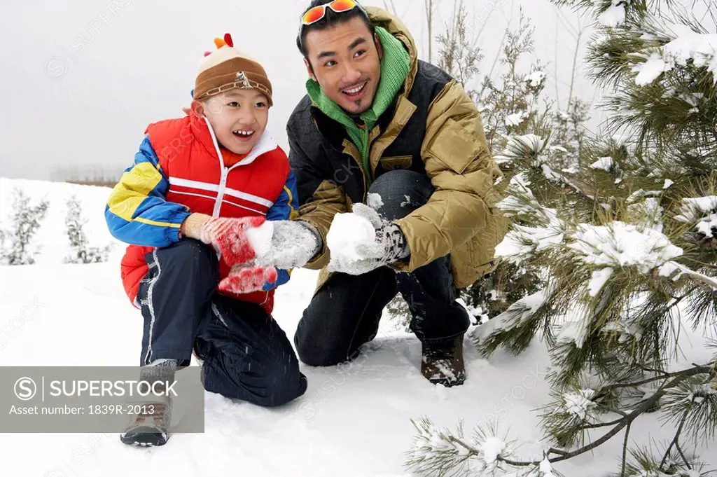 Father And Son Making Snowballs, Hiding Behind Tree