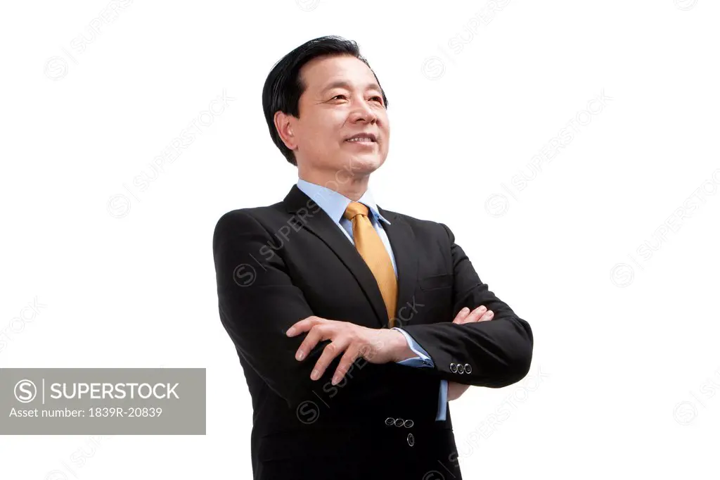 Portrait of senior businessman