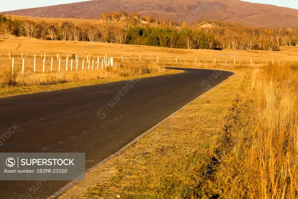 Road that turns left through a field