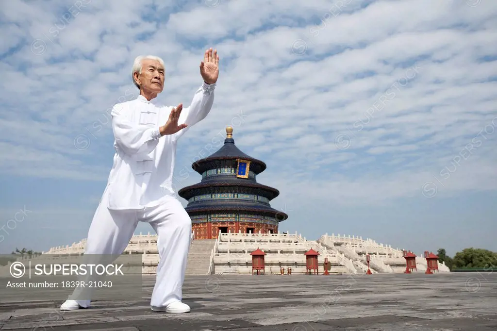 Senior Man Practicing Tai Chi, Temple of Heaven