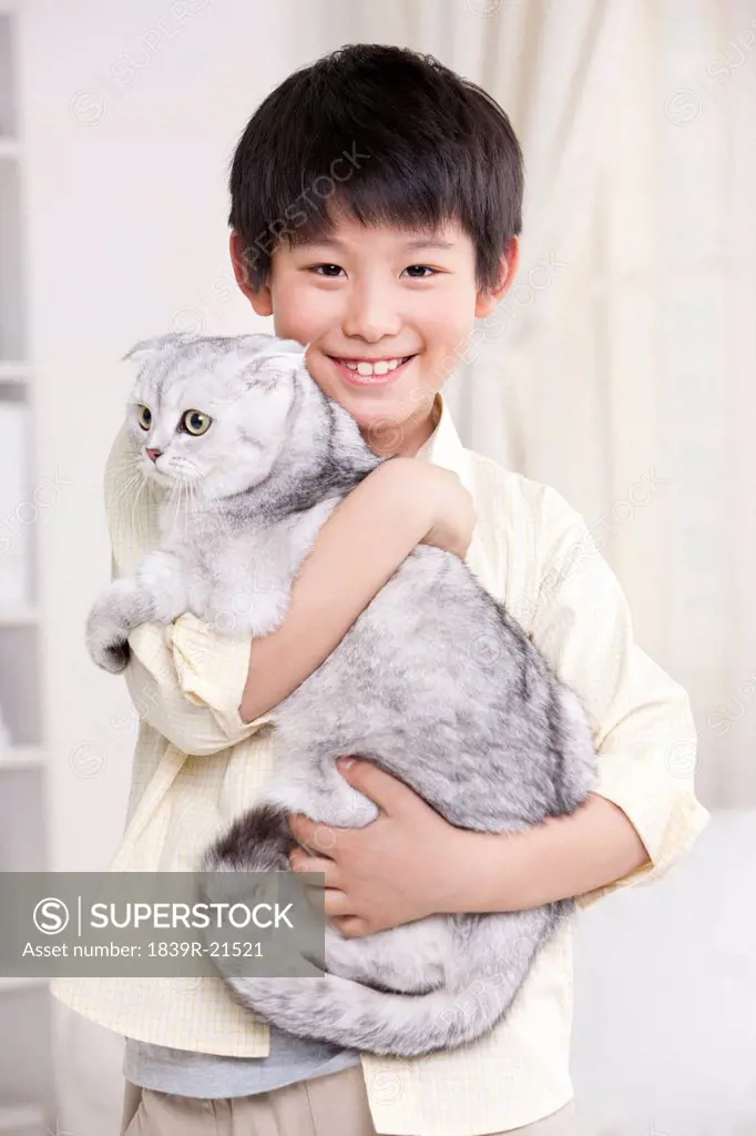 Young boy playing with a Scottish Fold cat