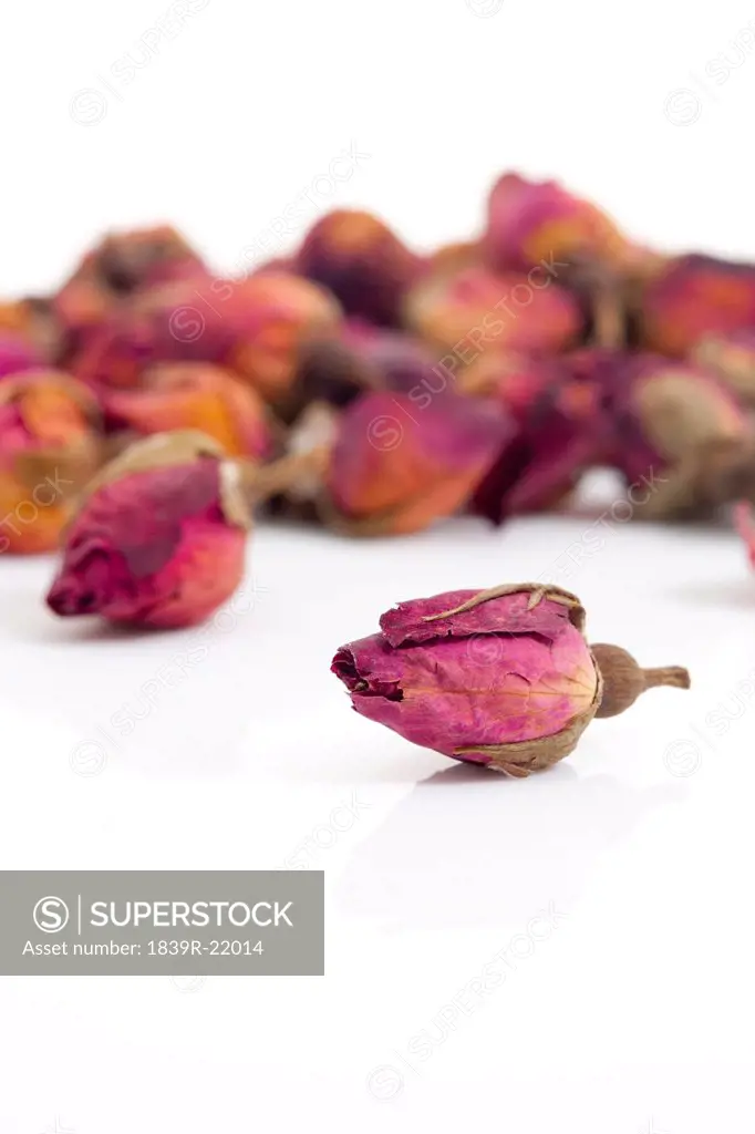 Close_up of a rose, Chinese Herbal Medicine