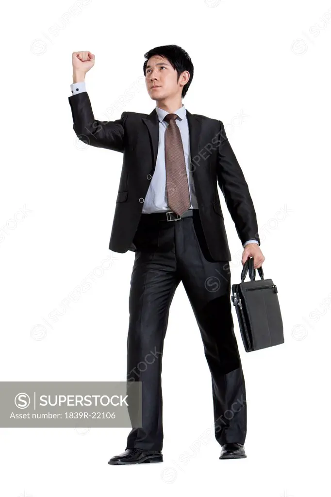 Successful Businessman Standing