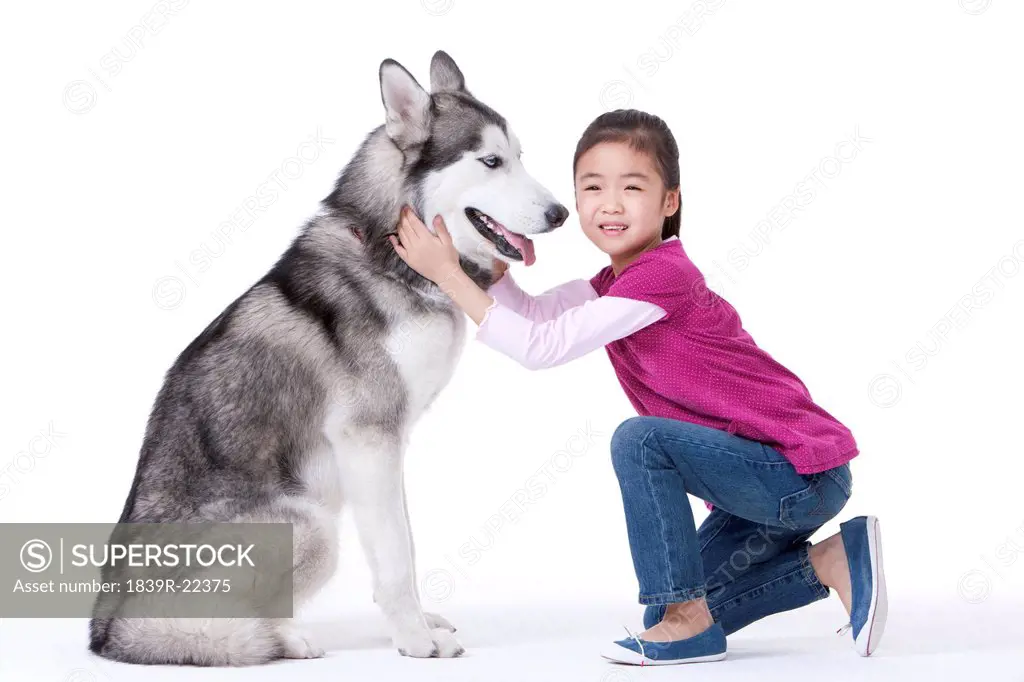 Cute little girl playing with a Husky dog
