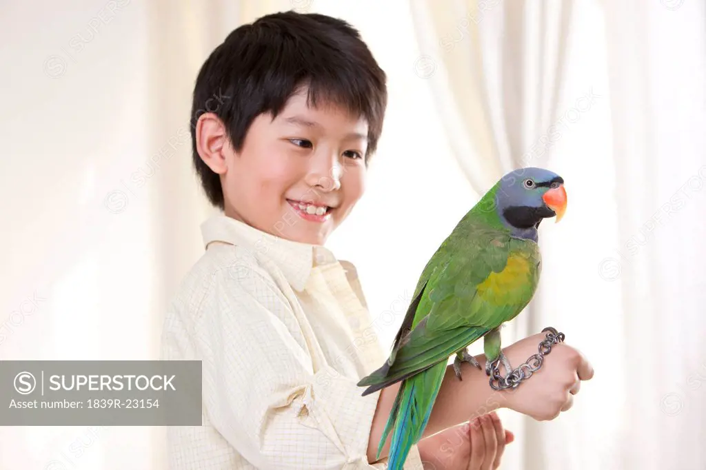 Little boy playing with a pet parrot