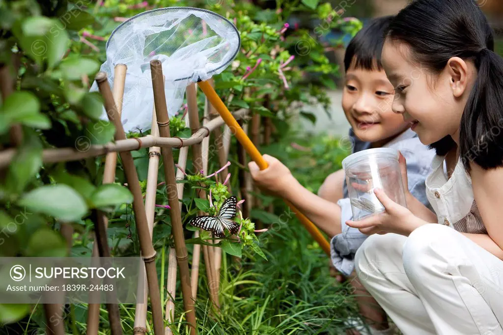 Chinese children in a garden looking at a butterfly