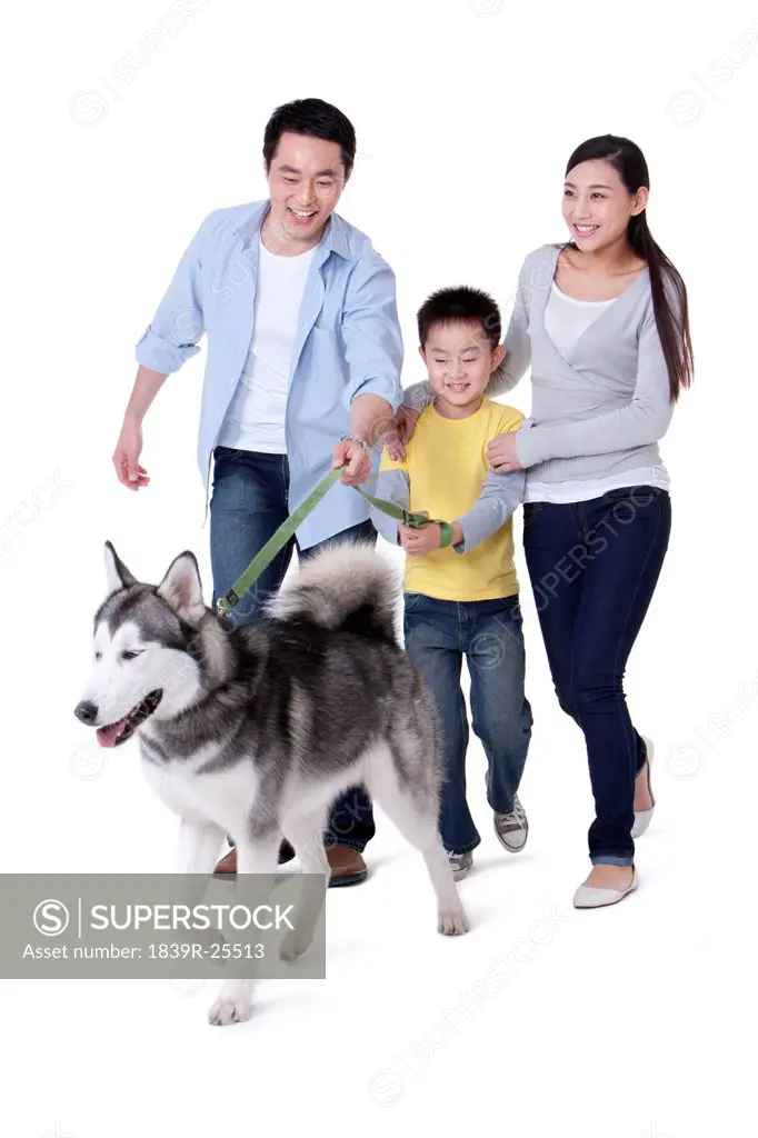 Family playing with a Husky dog