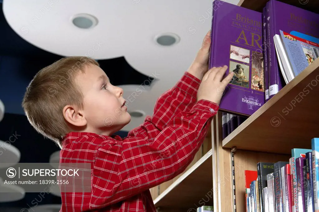 Boy Getting Book Off Shelf