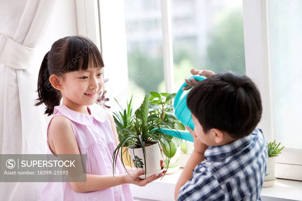 Boy and girl watering potted plants together