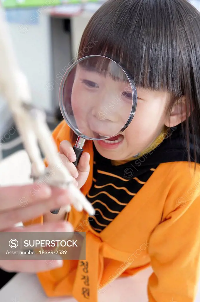 Small Girl Looking Through Magnifying Glass At Bones