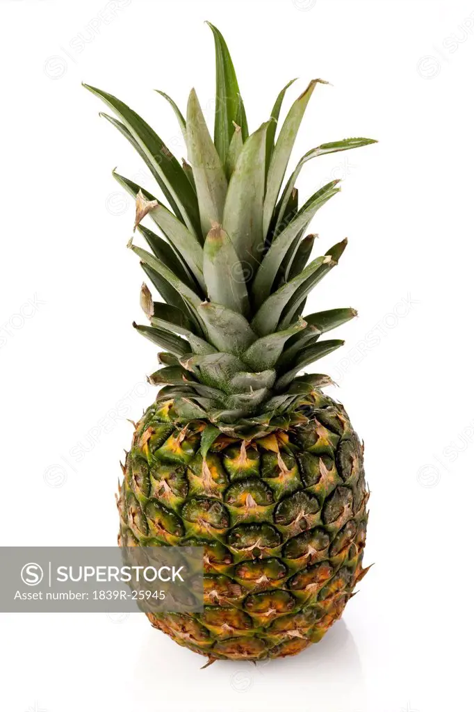 Pineapple on White Background