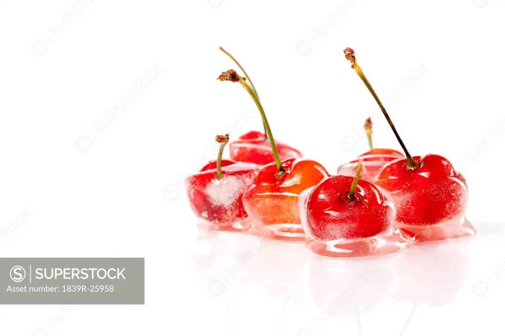 Frozen Cherries on White Background