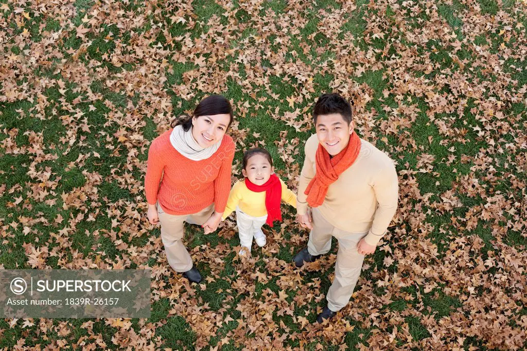 Young family holding hands in a park in Autumn