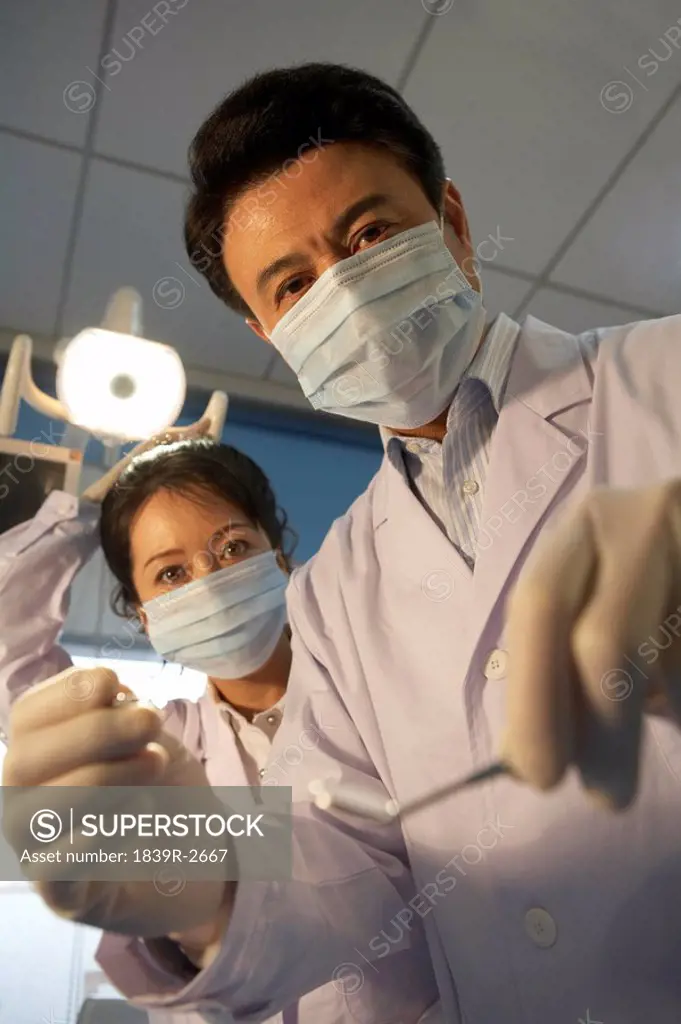 Dentist Holding Dental Equipment