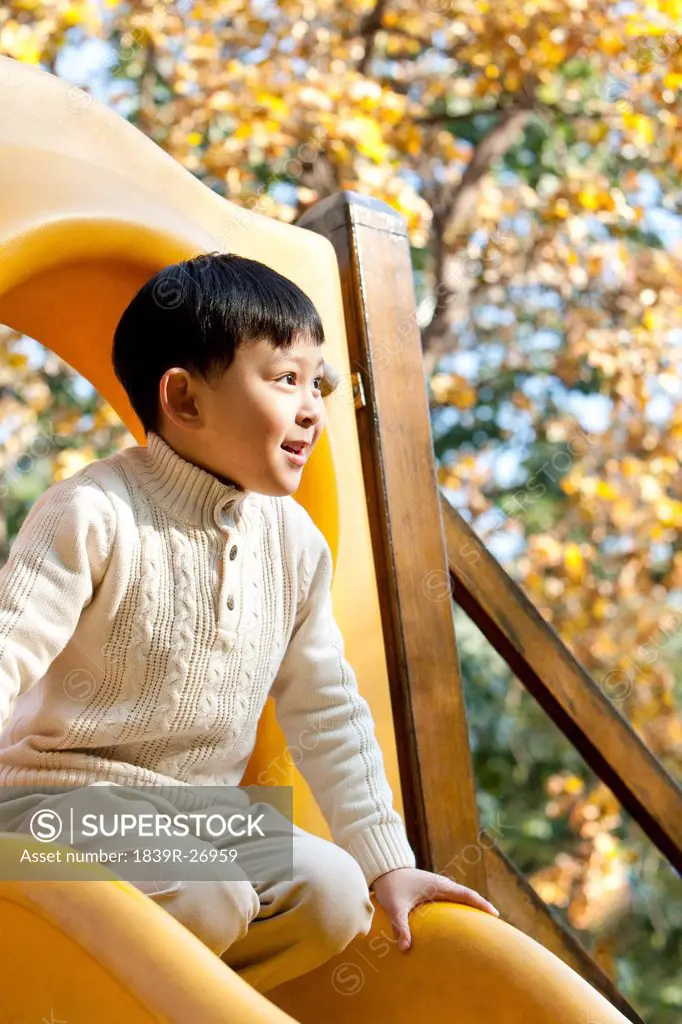 Boy playing on playground slide