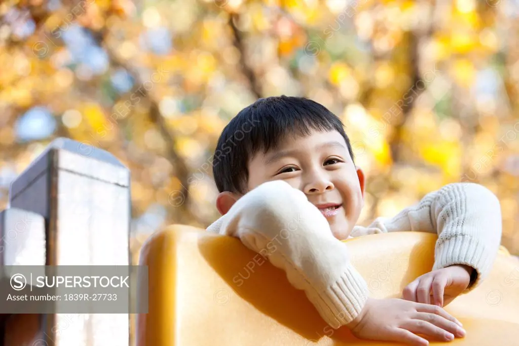 Boy playing on playground slide