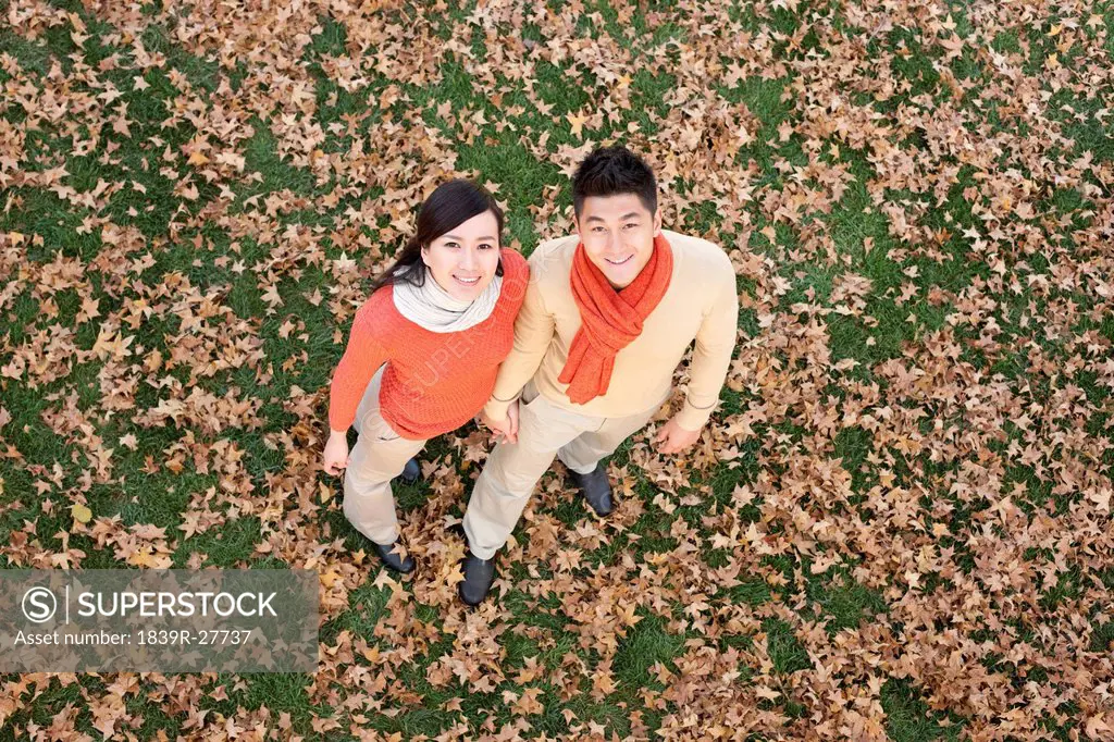Young couple holding hands in a park in Autumn