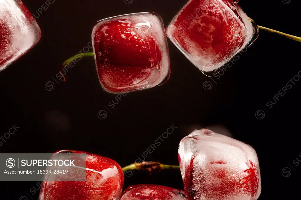 Frozen Cherries, Studio Shot