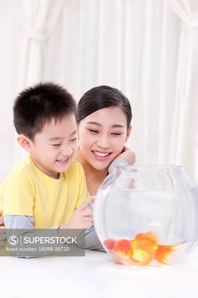 Mother and son having fun with goldfishes
