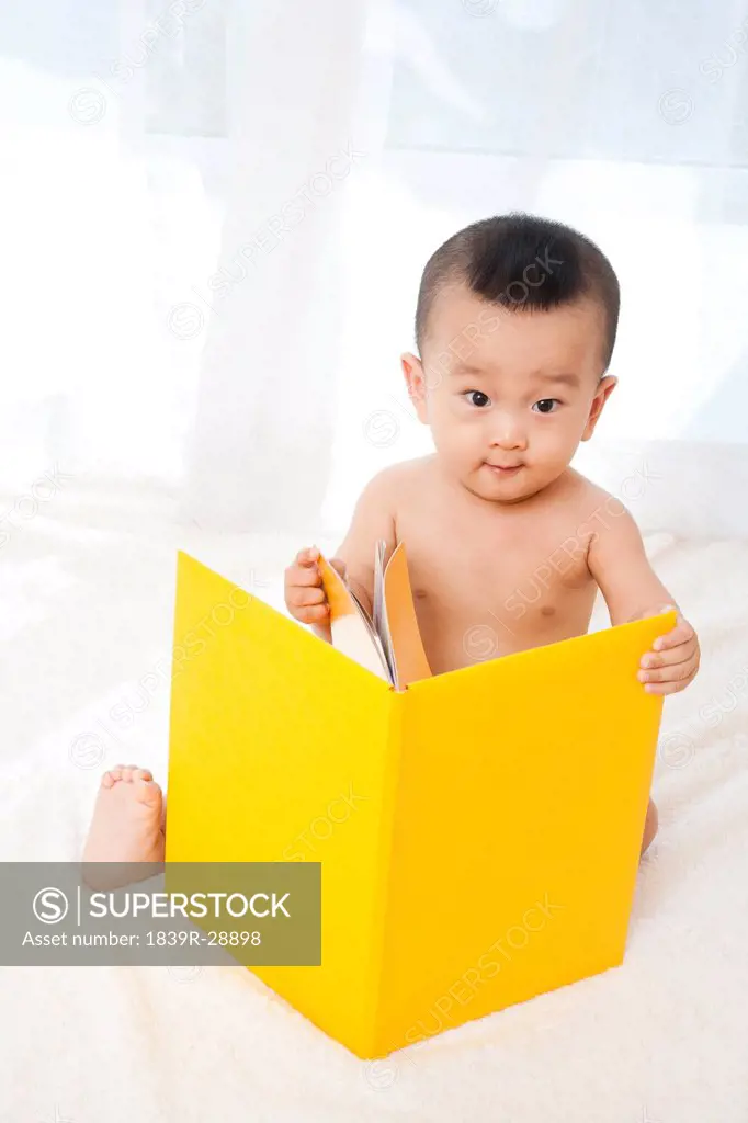 Portrait of a Baby Reading a Book