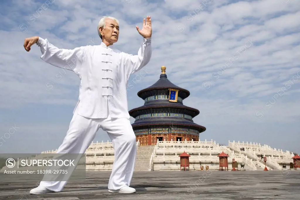 Senior Man Practicing Tai Chi, Temple of Heaven