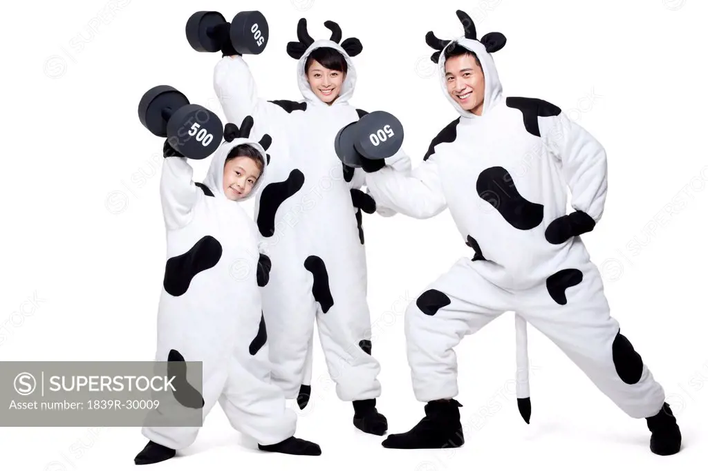 Family in cow costumes lifting dumbbells