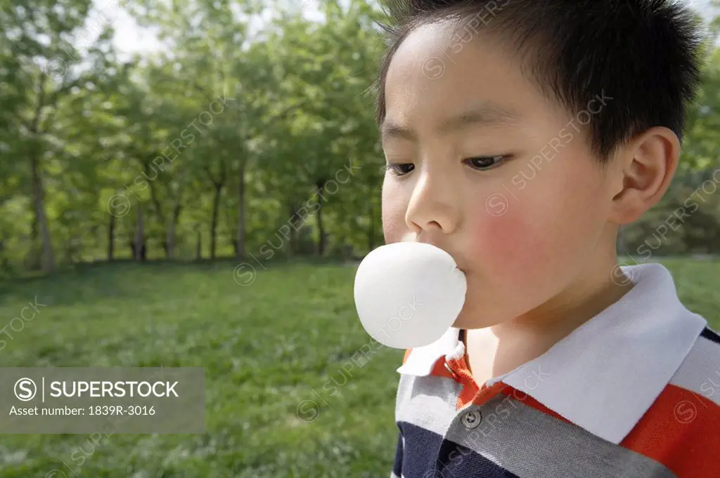 Young Boy Blowing Chewing Gum In The Park