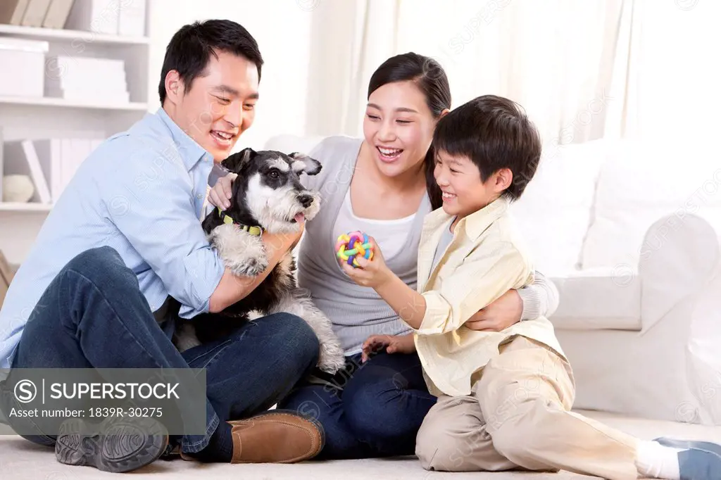 Family playing with a pet Schnauzer