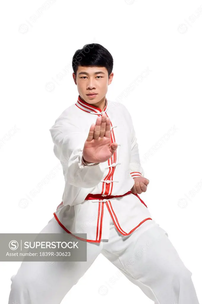 Man in Traditional Chinese Clothing Doing Taijiquan