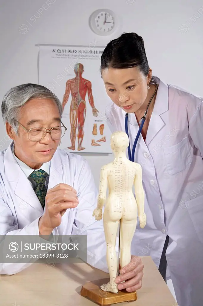 Doctor And Nurse Drawing On Human Acupuncture Figurine