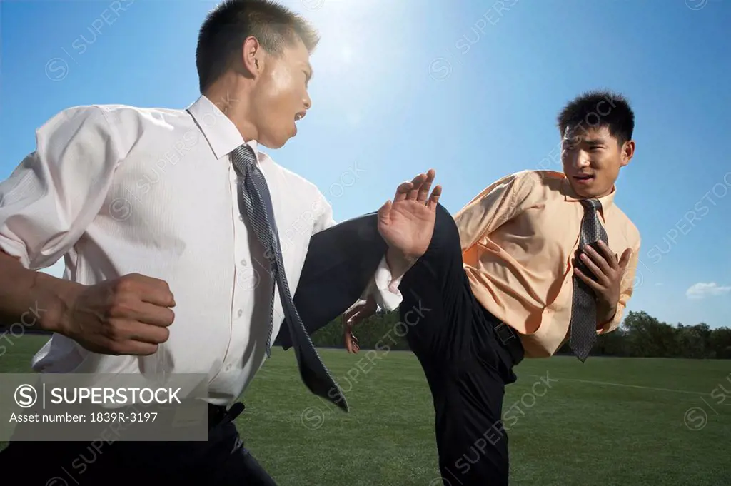 Businessmen Practicing Martial Arts In A Field