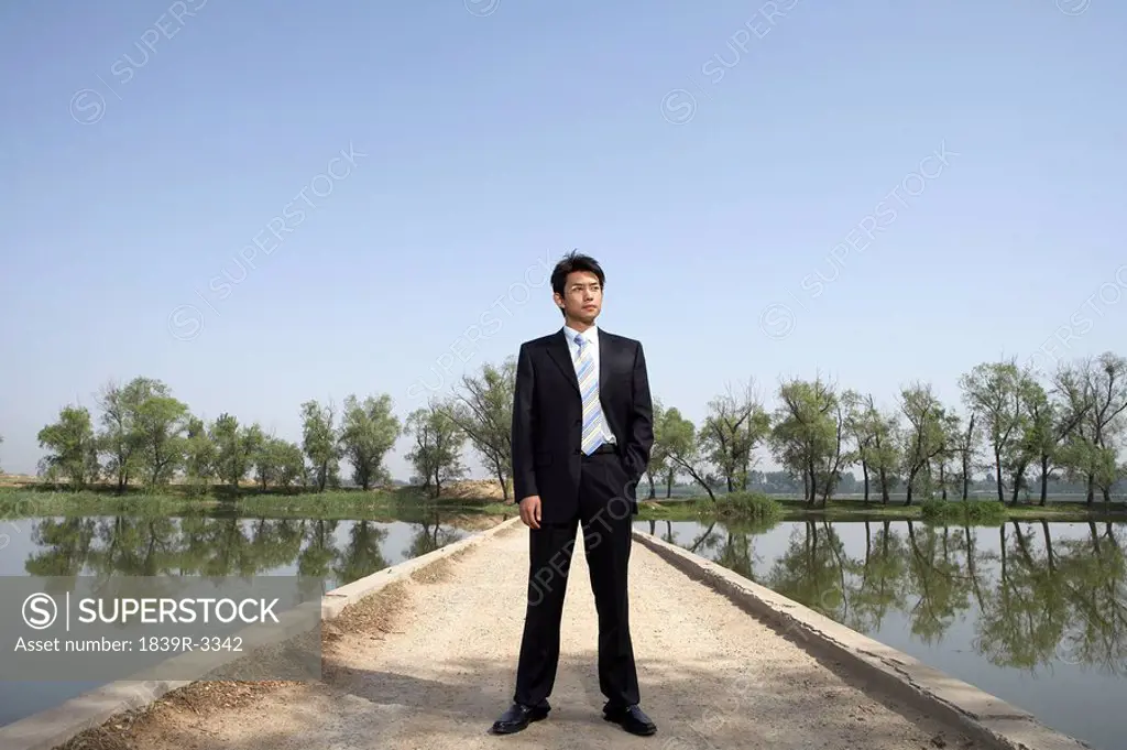 Businessman Standing Next To A Lake On A Bridge