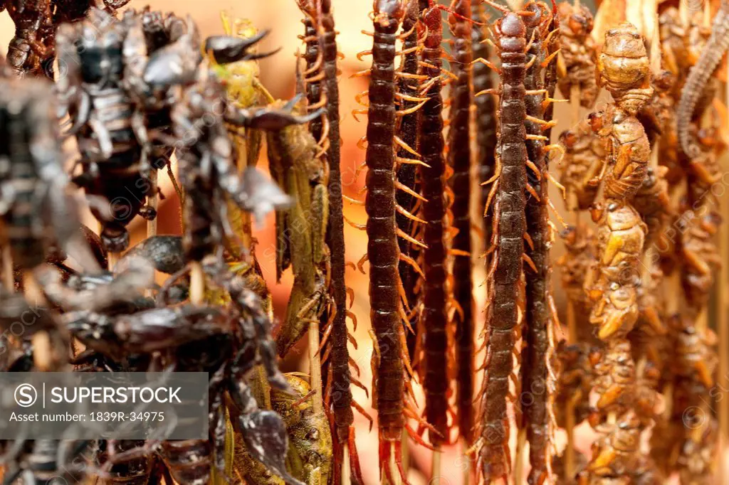 Various cooked insects thread on skewers