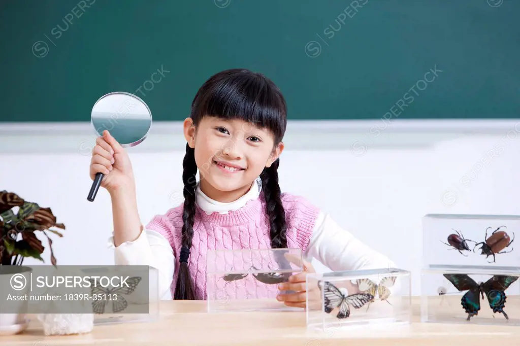 Happy schoolchildren examining insect specimens with magnifying glass