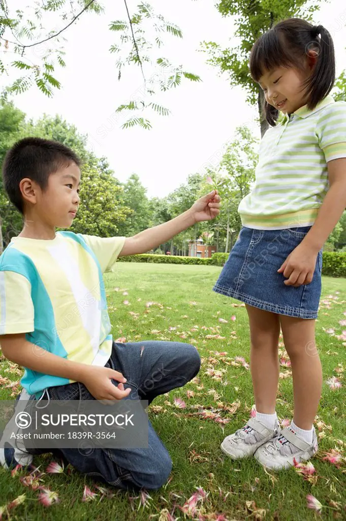 Young Boy Giving Young Girl A Flower In The Park