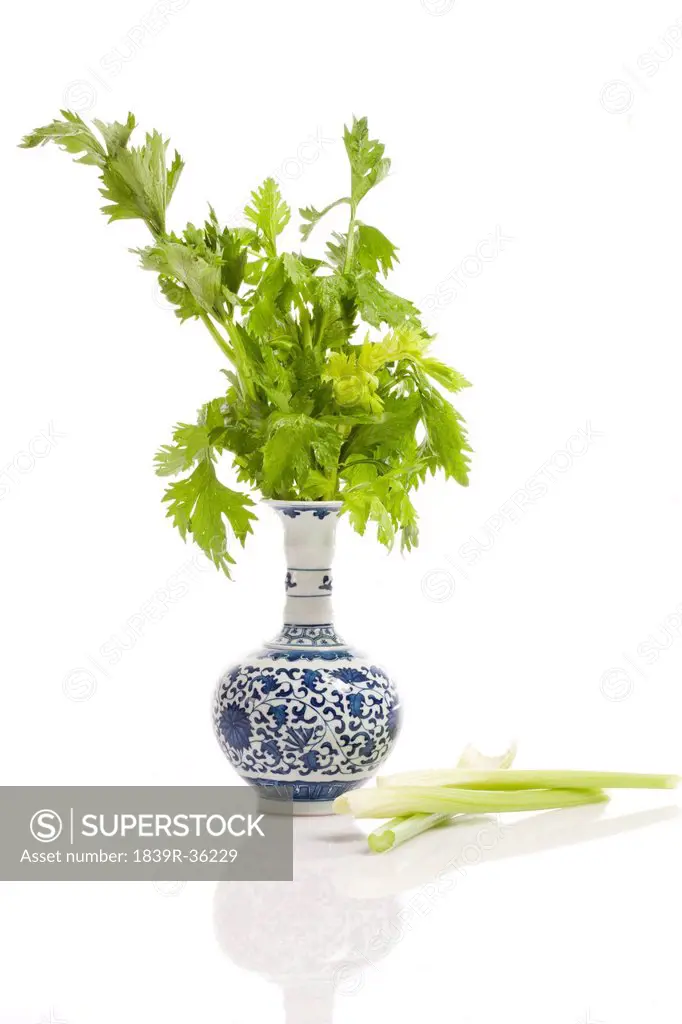 Blue and white porcelain with fresh vegetables