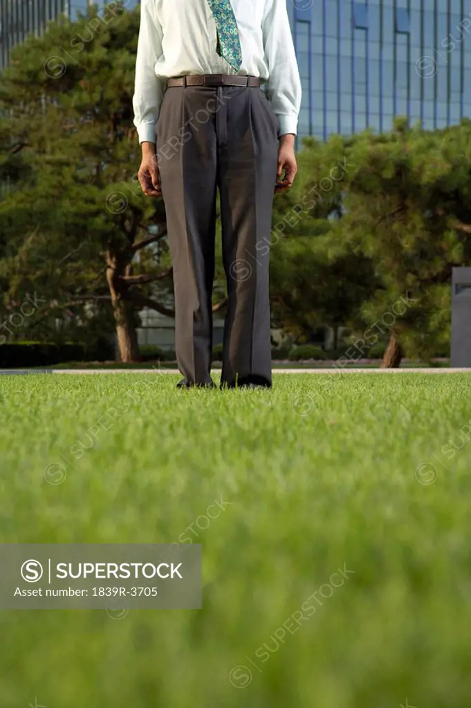 Portrait Of A Businessman Standing In Park