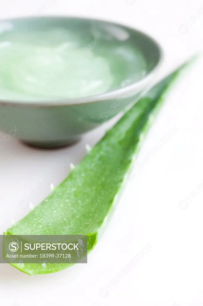 Fresh aloe leaf and aloe vera gel