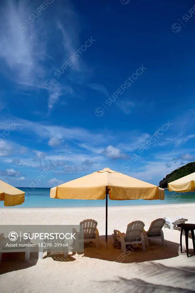 Beach chair and sunshade