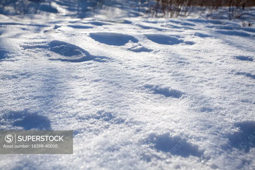Footprint on snowfield