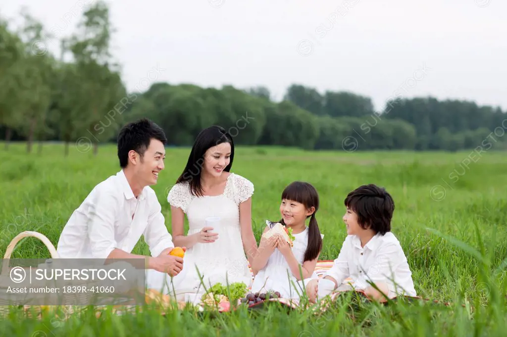 Happy young family having a picnic on the grass