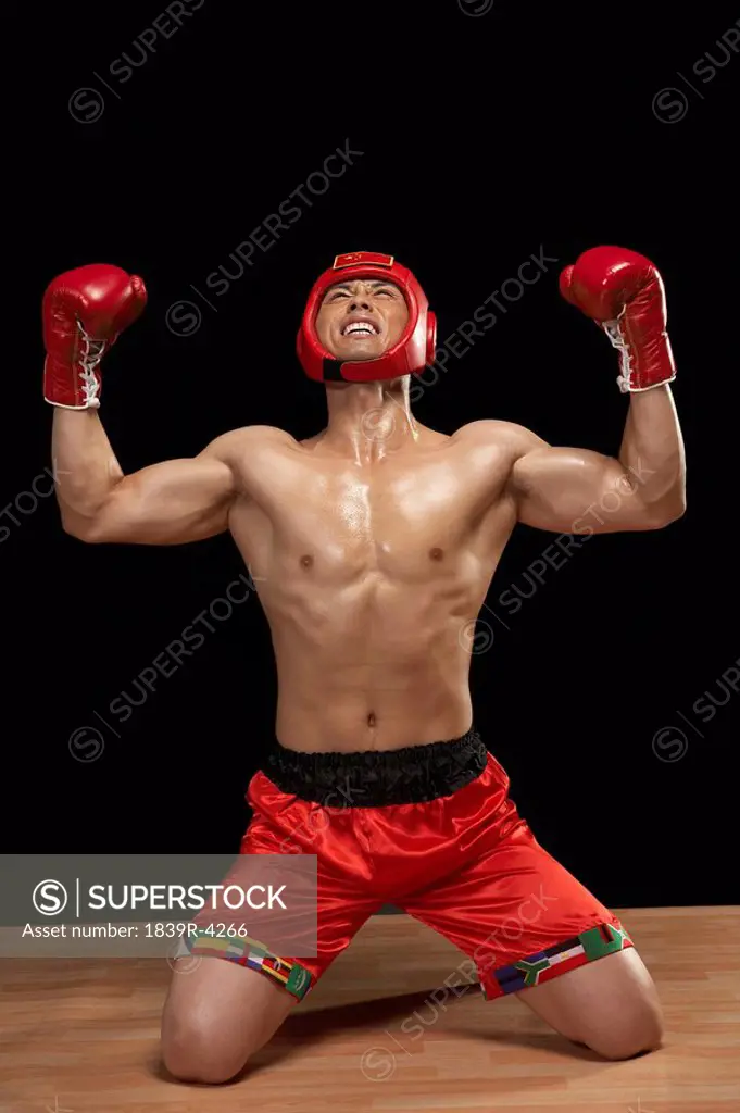 Kneeling Boxer Celebrating Victory