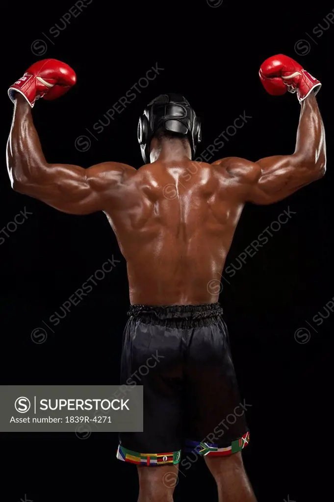 Rear View Of Boxer Flexing Muscles