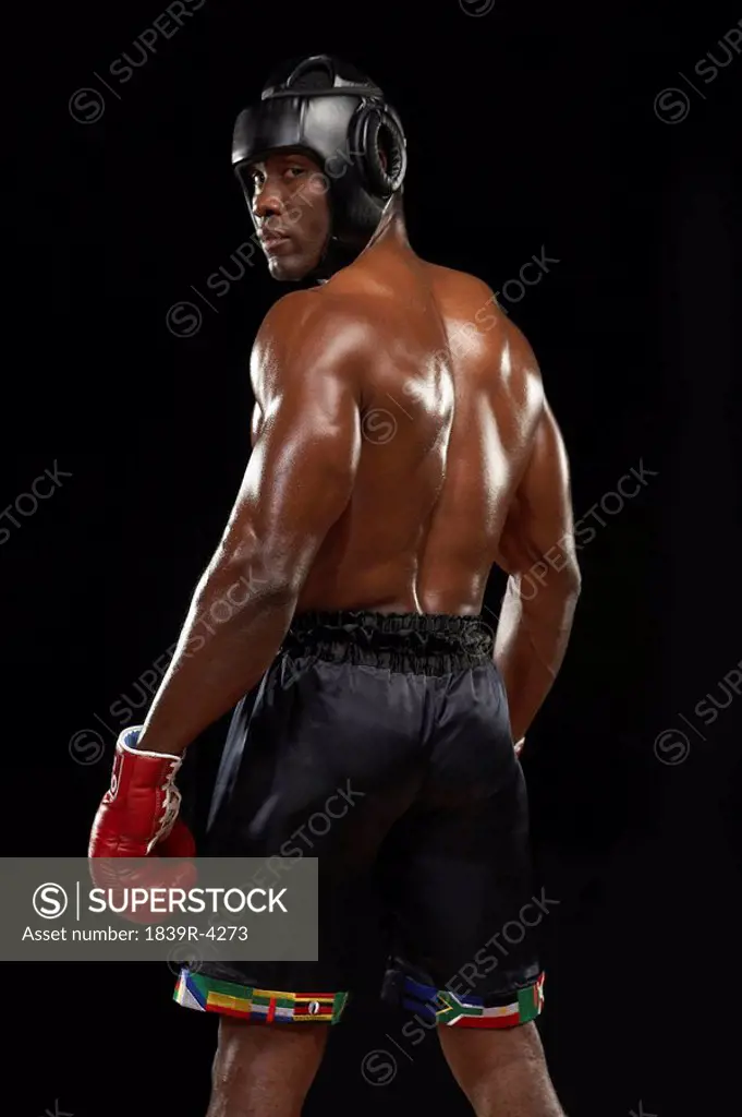 Boxer Looking Over Shoulder