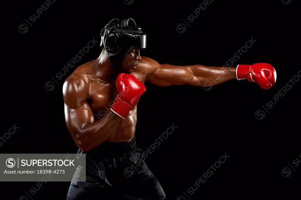 Boxer Punching